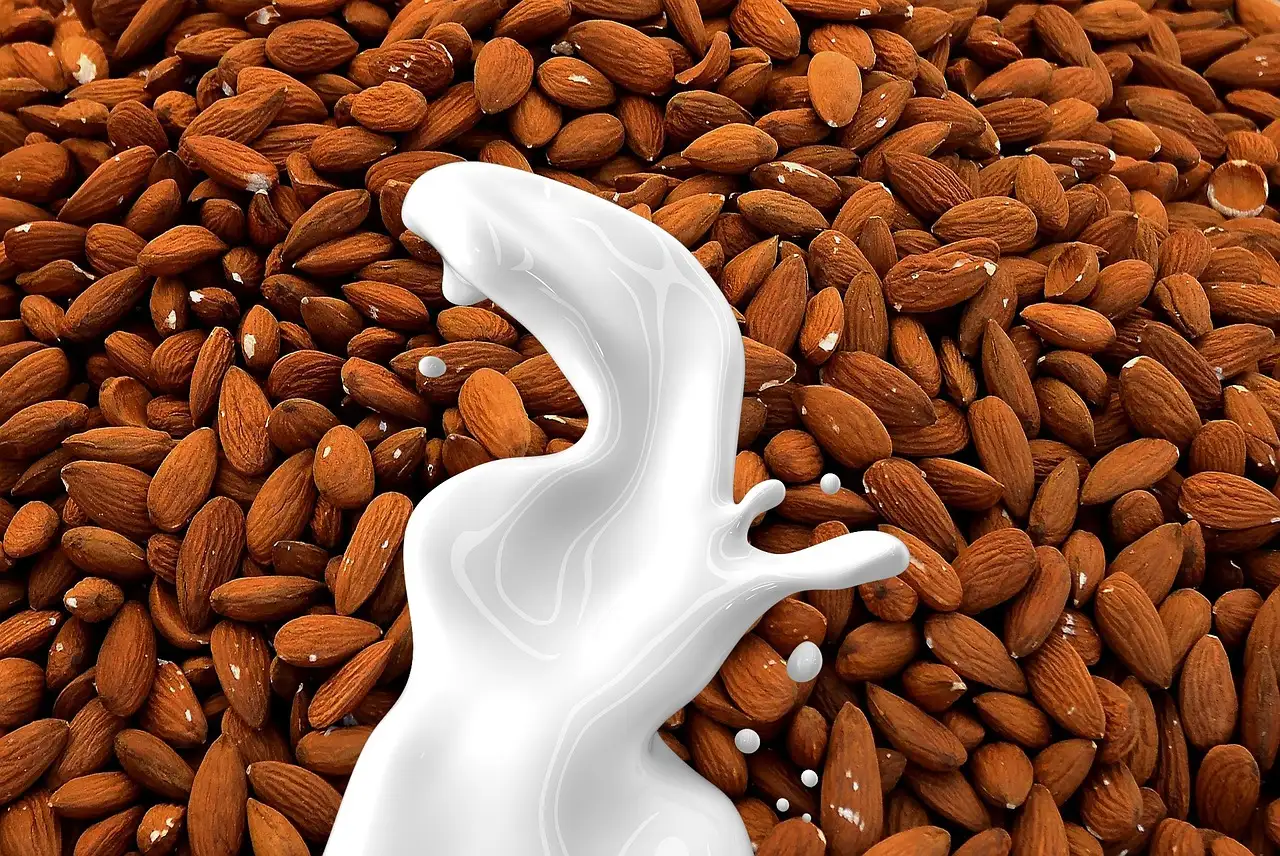 Mandelmilch alpro gesund