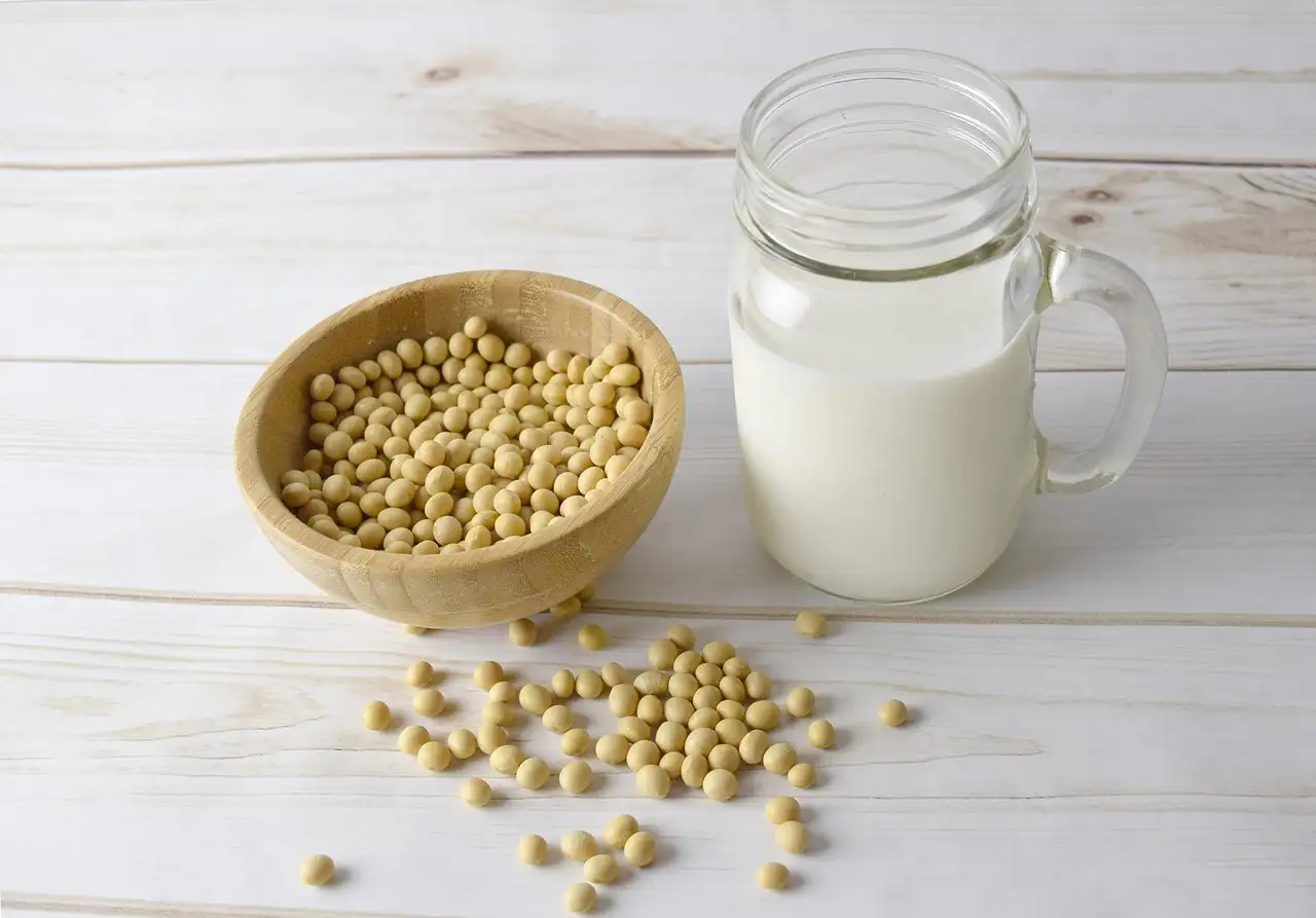 Sojamilch alpro gesund