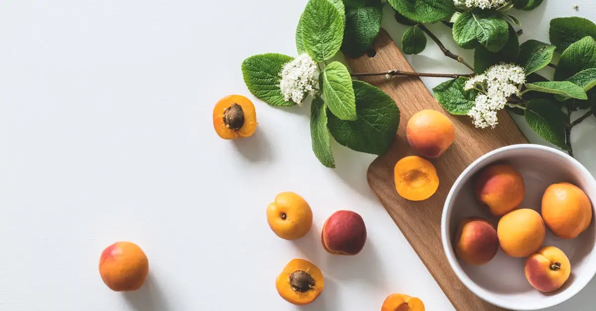 Ist es gesund ohne fleisch zu leben