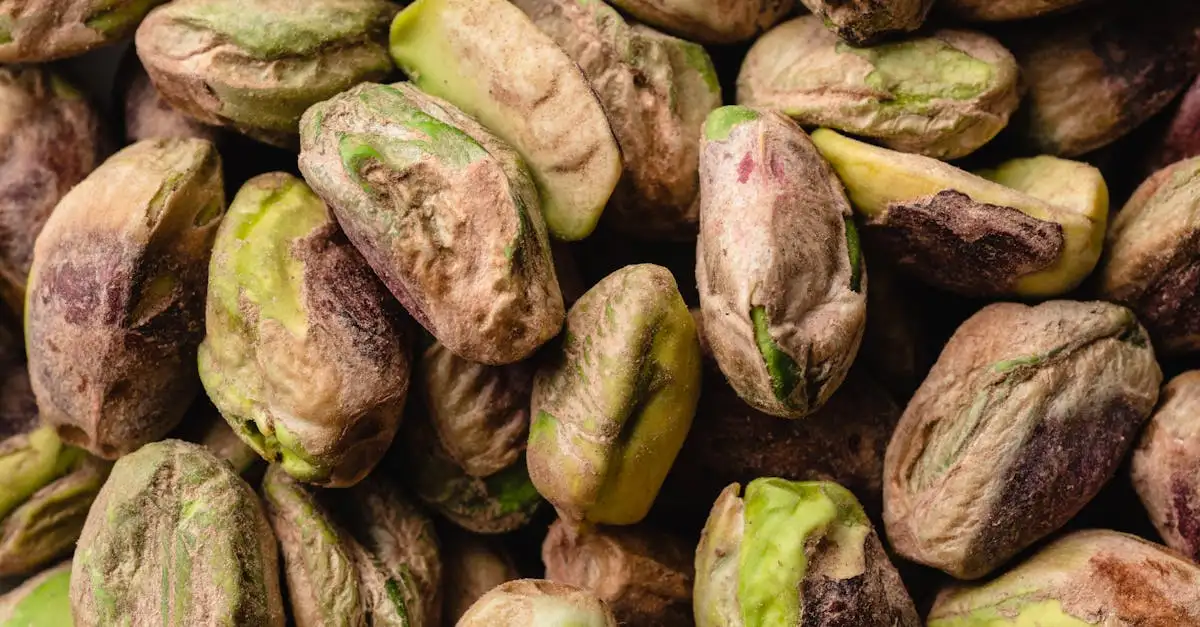Pistazien geröstet und gesalzen gesund
