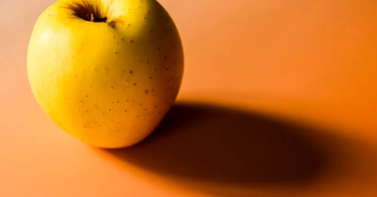 Gesund ernähren und abnehmen rezepte