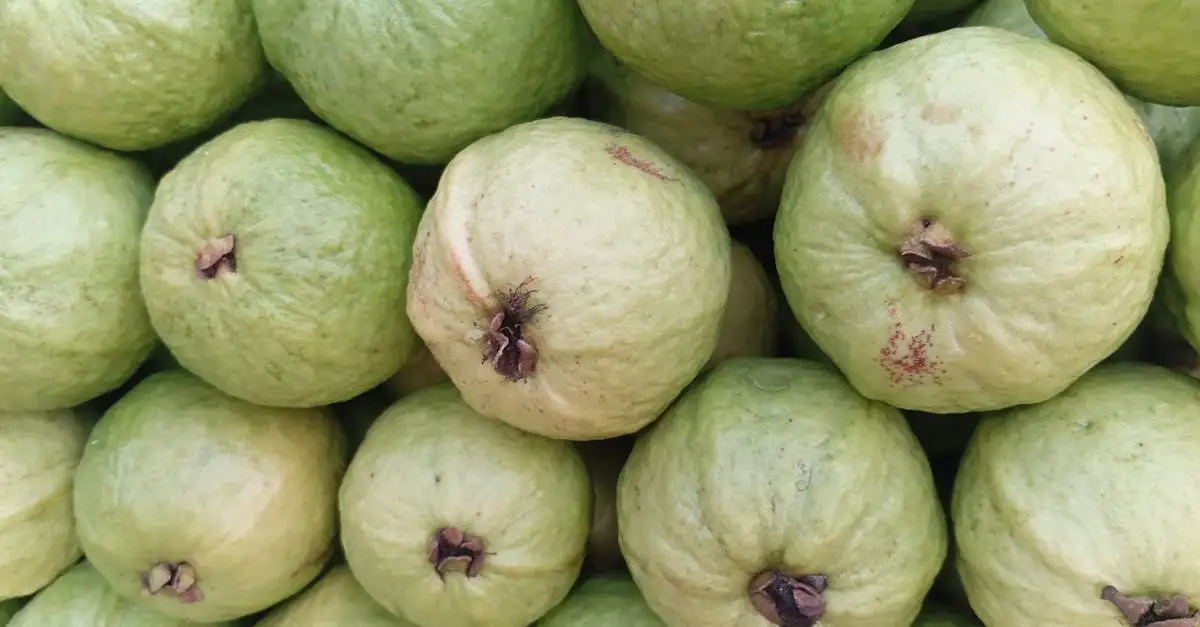 Abnehmen gesund und effektiv
