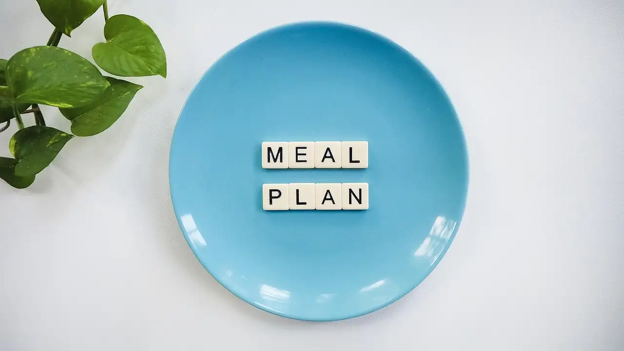 Gesund essen abnehmen plan
