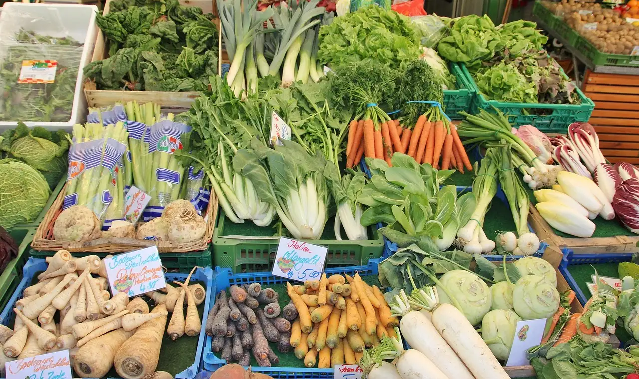 Gesund essen münchen