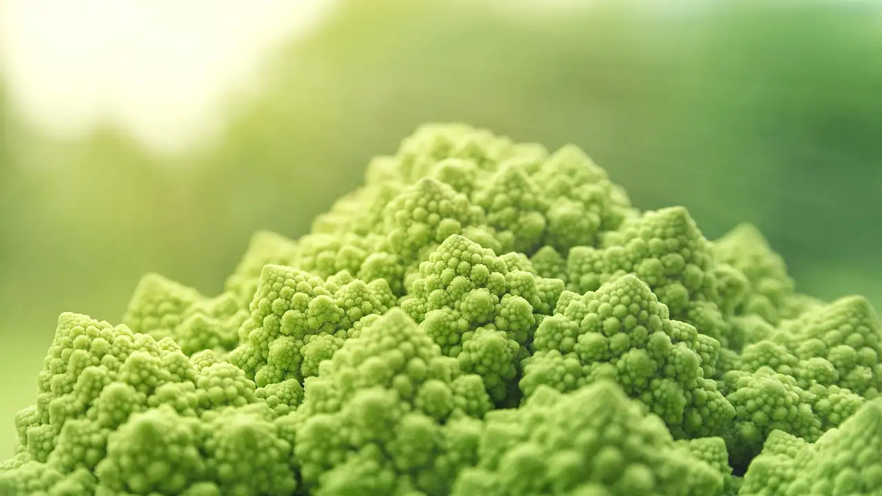 Gesund vegan abnehmen