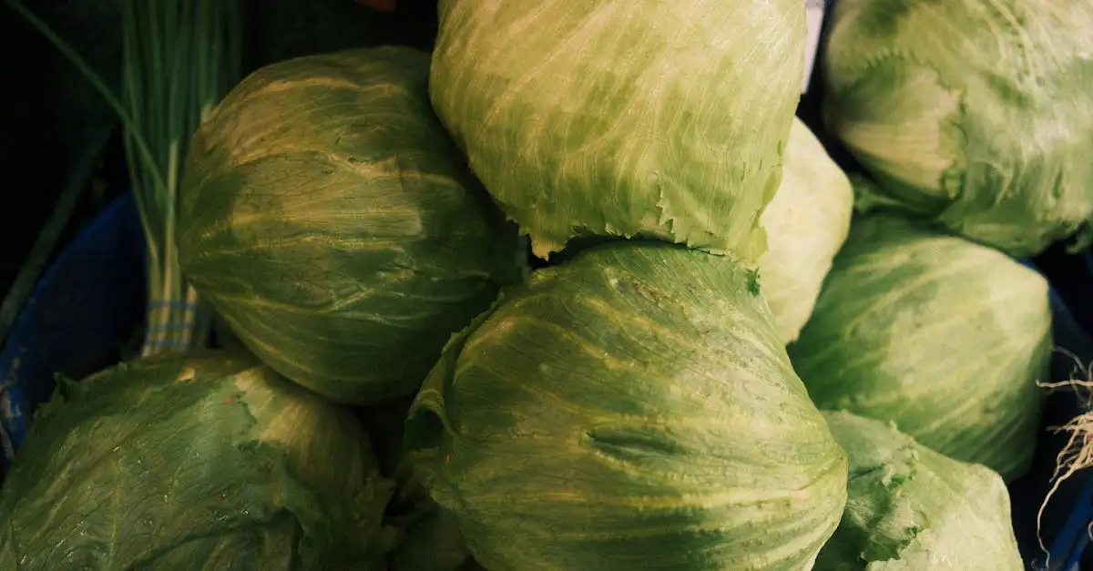 Unterrichtsmaterial gesunde ernährung