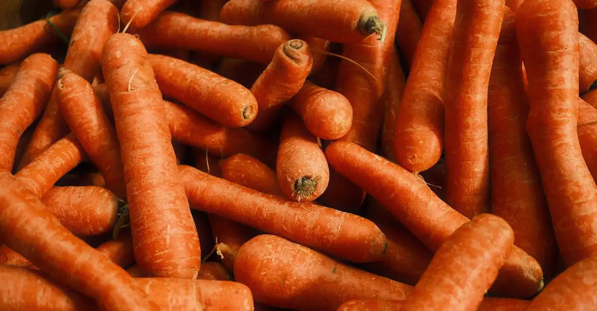 Gesunde ernährung unterrichtsmaterial