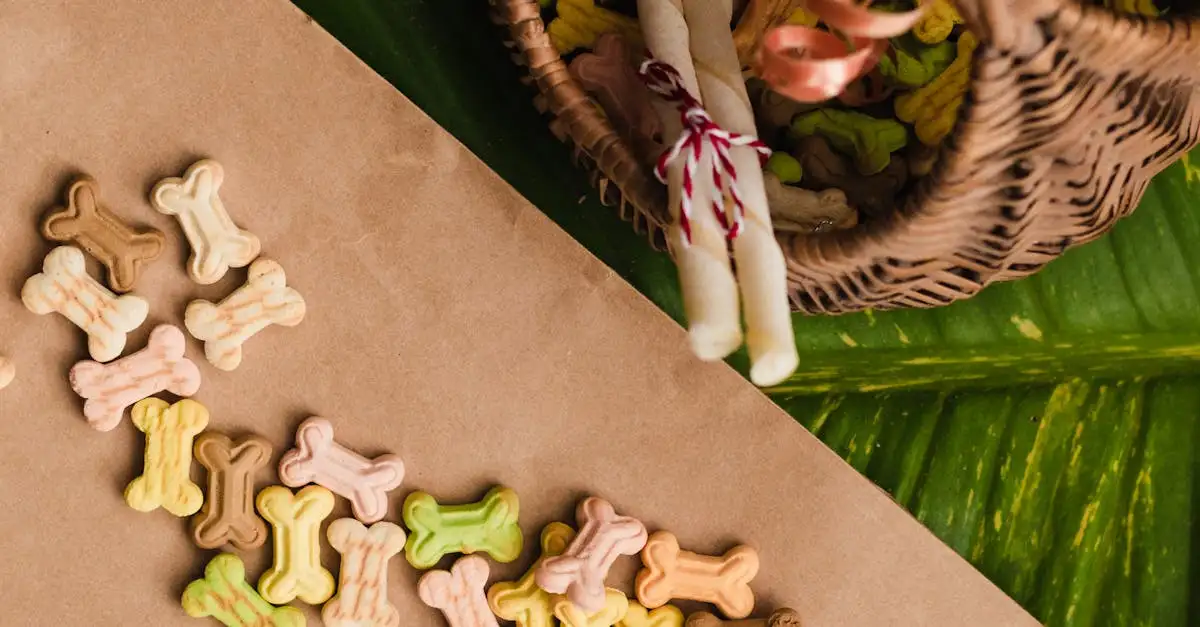 Gesunde Leckerli für Hunde: Leckere Snacks, die gesund sind