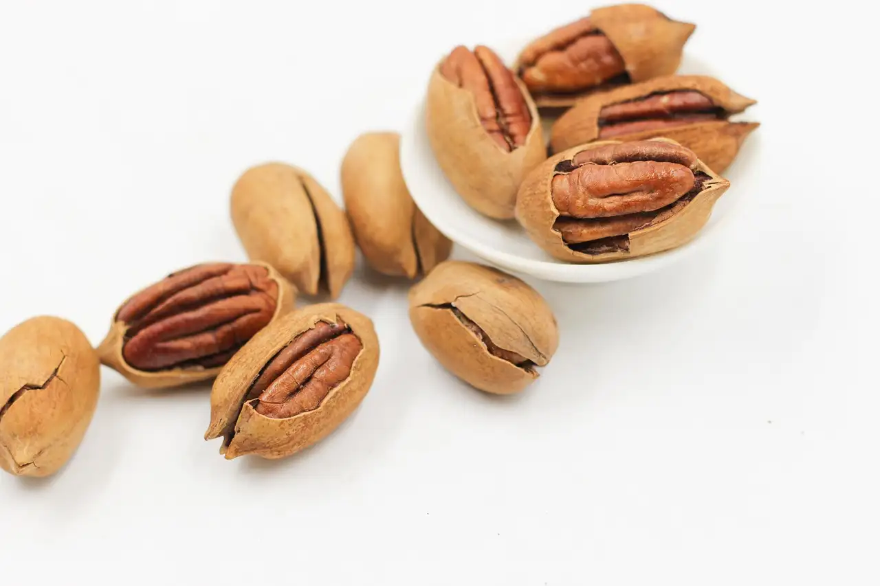 Gesunde snacks online shop