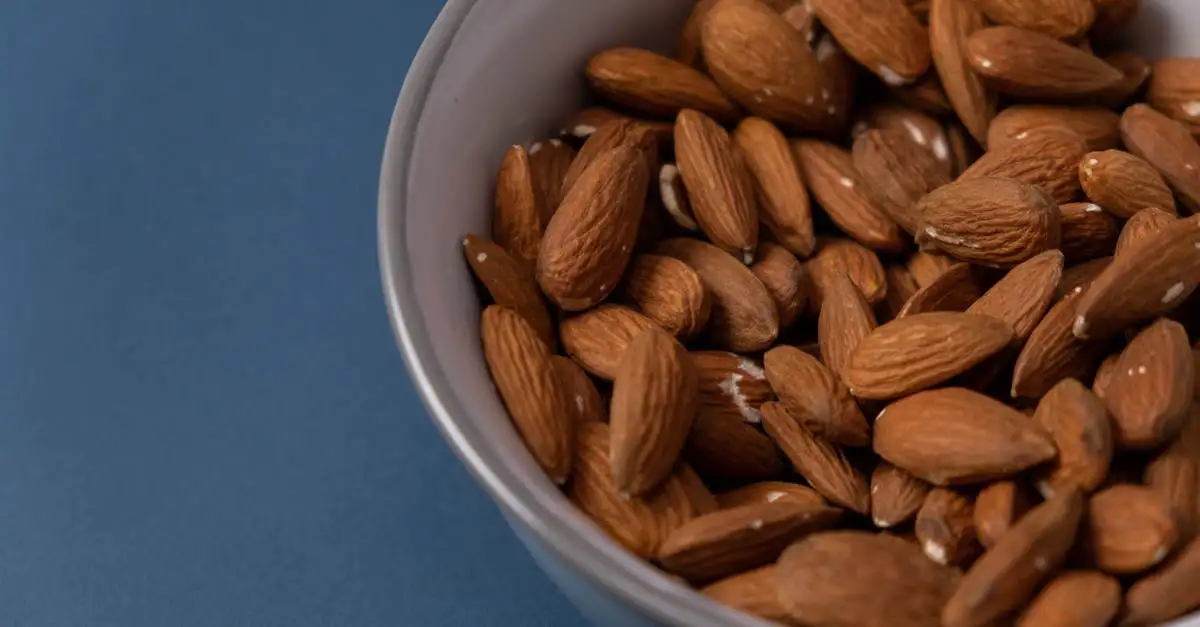 Gesunde Riegel ohne Zucker: Leckere Snacks für jeden Tag
