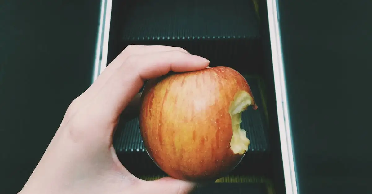 Gesund Essen Unterwegs: Tipps für den Supermarkt-Einkauf