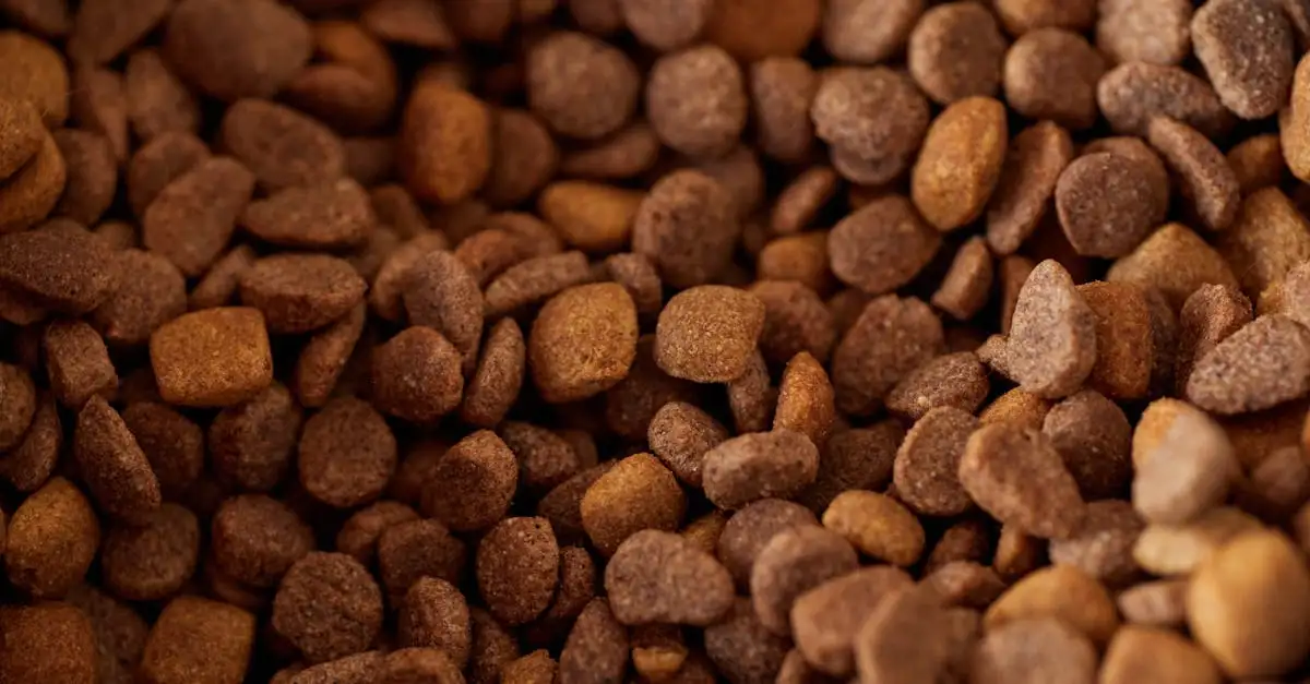 Gesundes frühstück für hunde