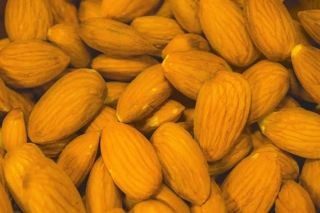 Wieviel magnesium ist gesund