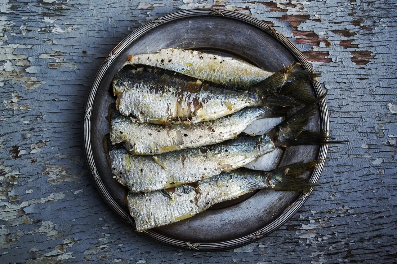 Gesund mit omega-3-plus rezepte für jeden tag