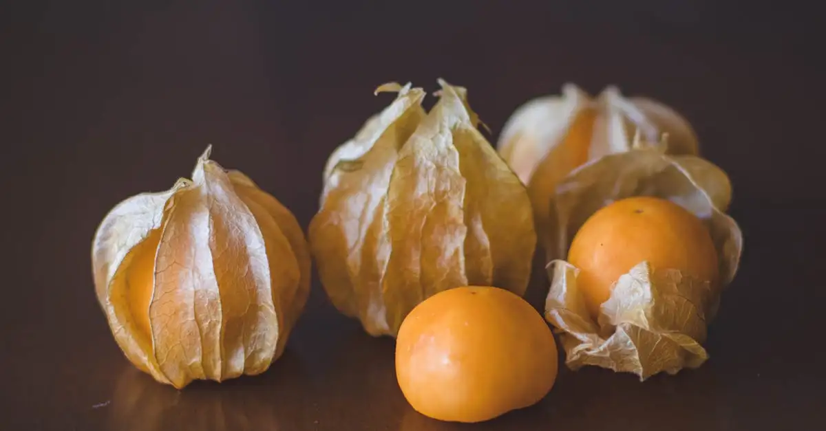 Physalis gesund abnehmen