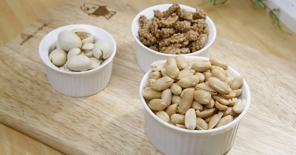 Gesunde eiweiß snacks
