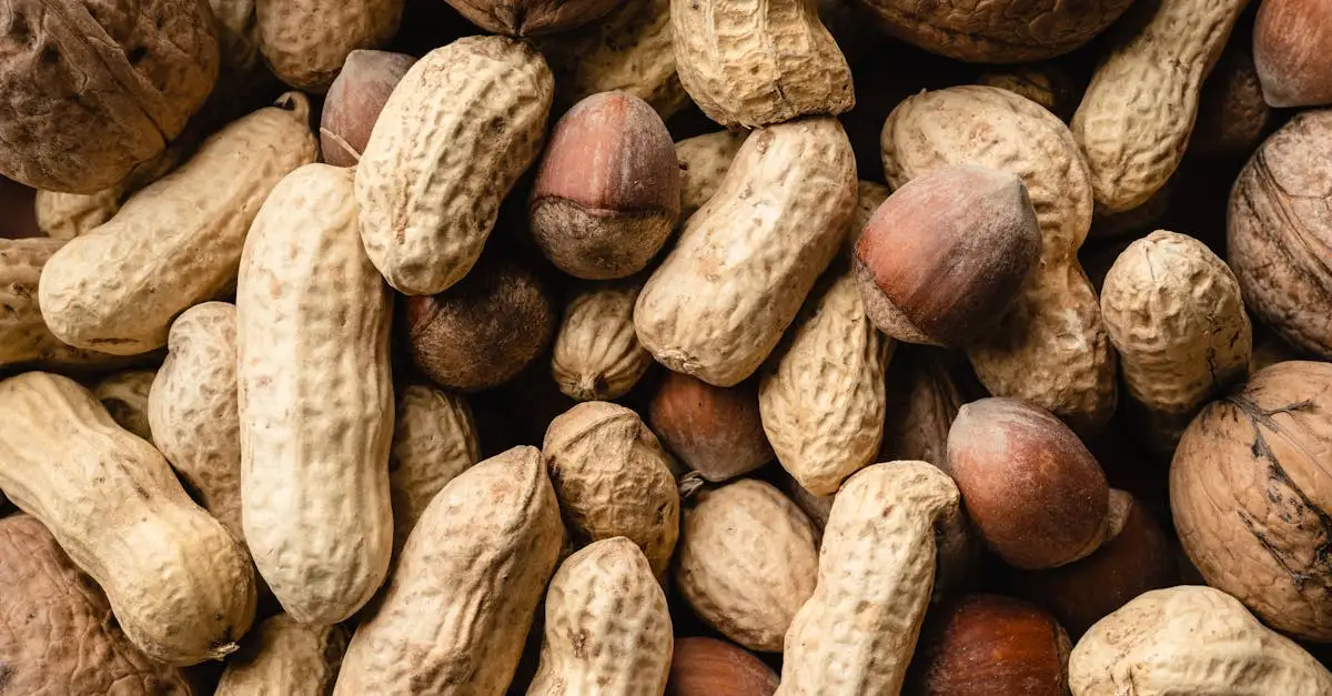 Gesunde snacks vegan