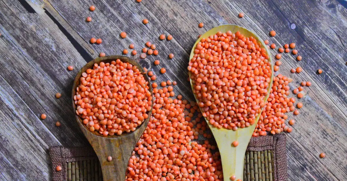 Gesundes proteinpulver vegan