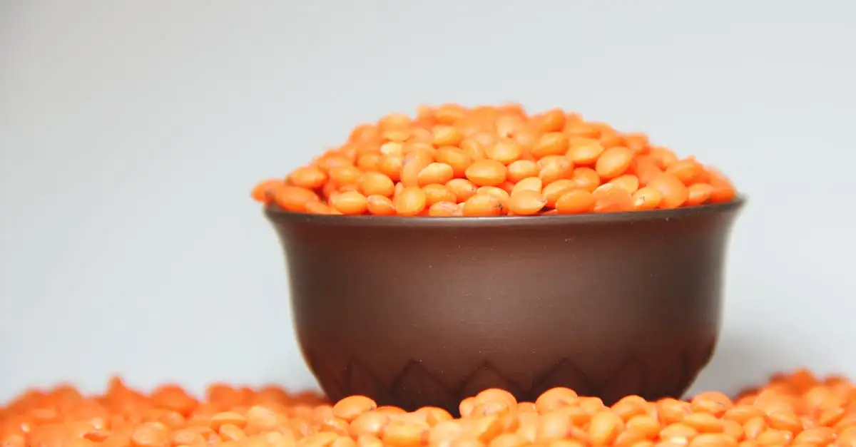 Gesundes veganes proteinpulver
