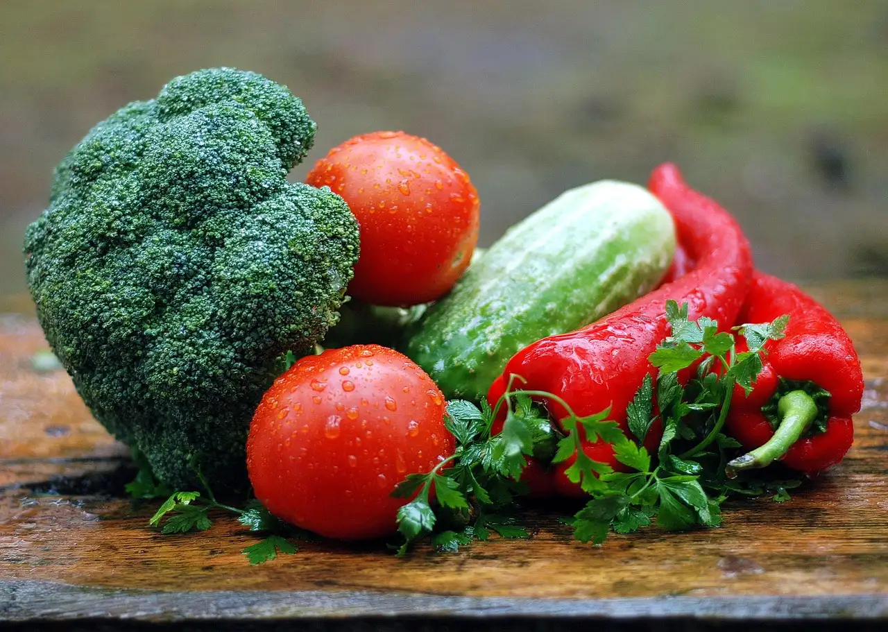 Gesunde ernährung vegetarisch essensplan